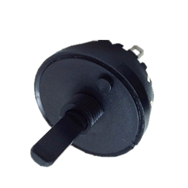 10 Position Rotary Switch